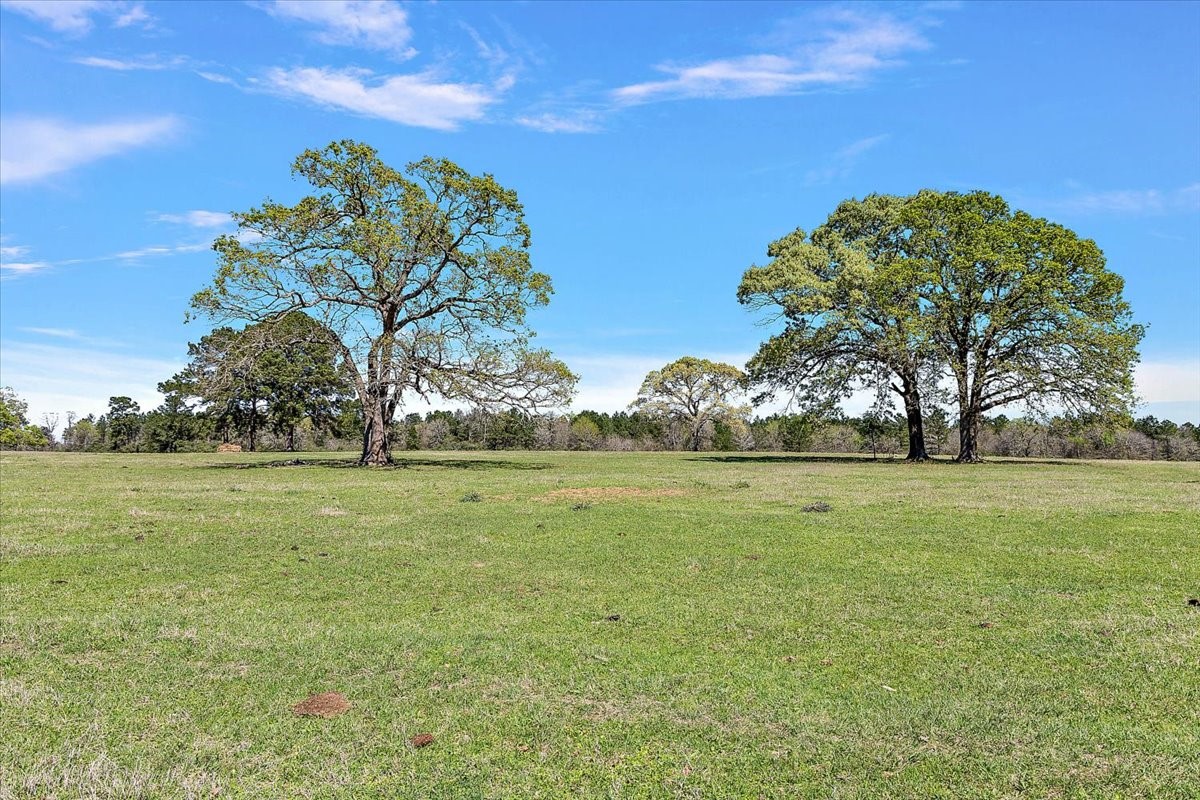 394 Fm 230 Property Photo 45