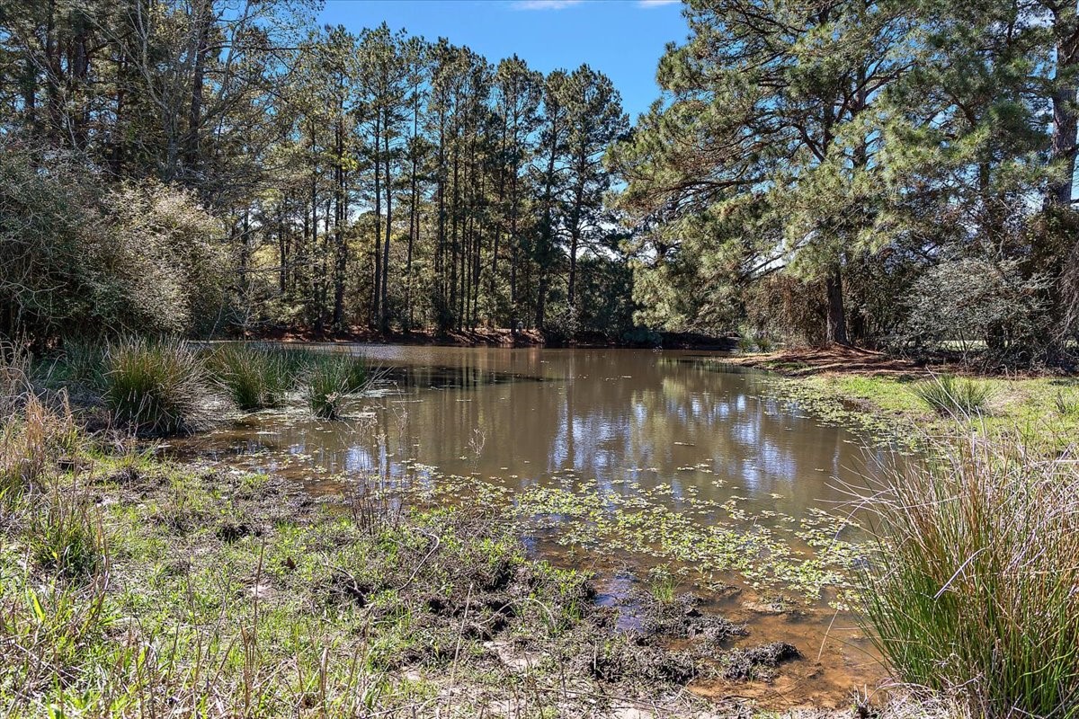 394 Fm 230 Property Photo 47