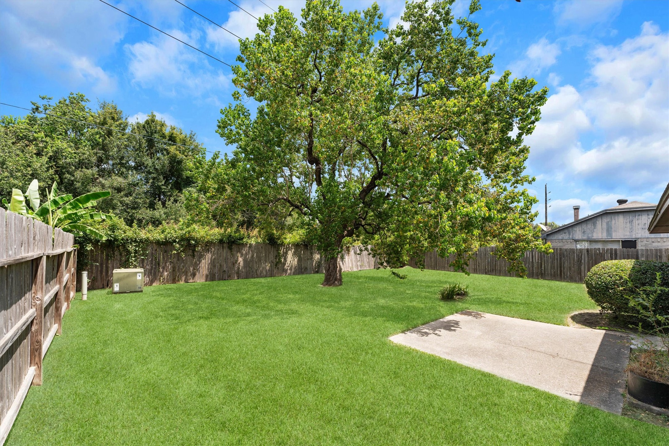 3446 Cheaney Drive Property Photo 48