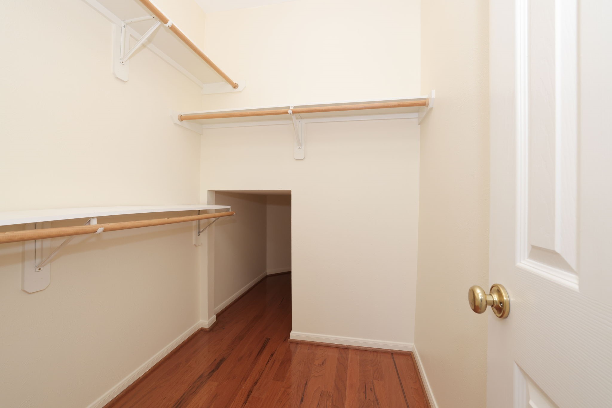 8823 Catawissa Drive Property Photo 25