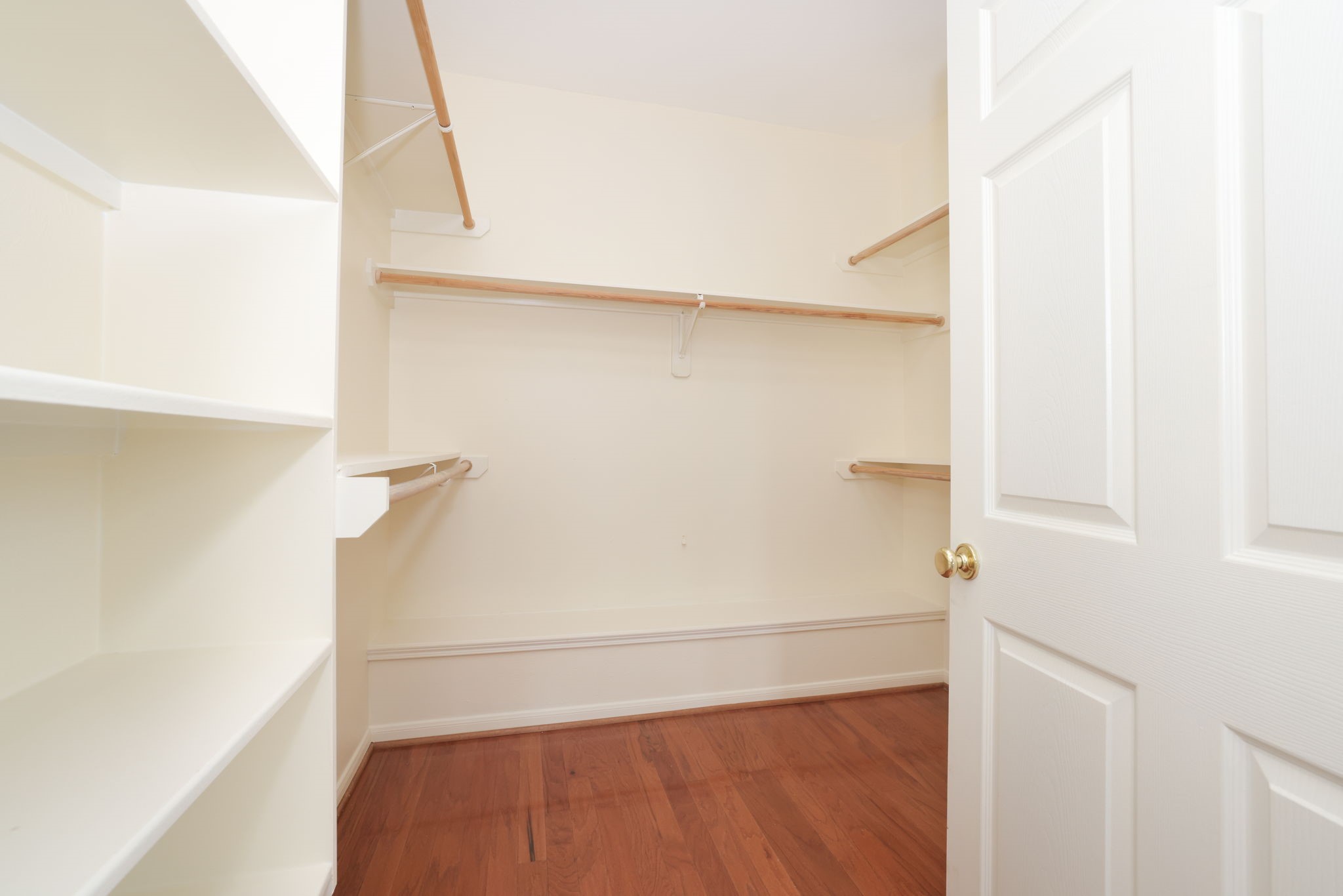 8823 Catawissa Drive Property Photo 26