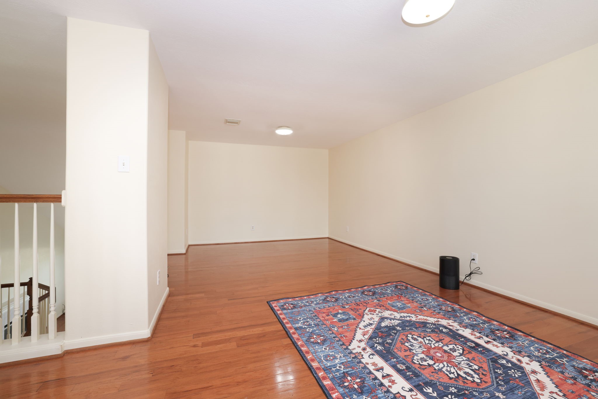 8823 Catawissa Drive Property Photo 28