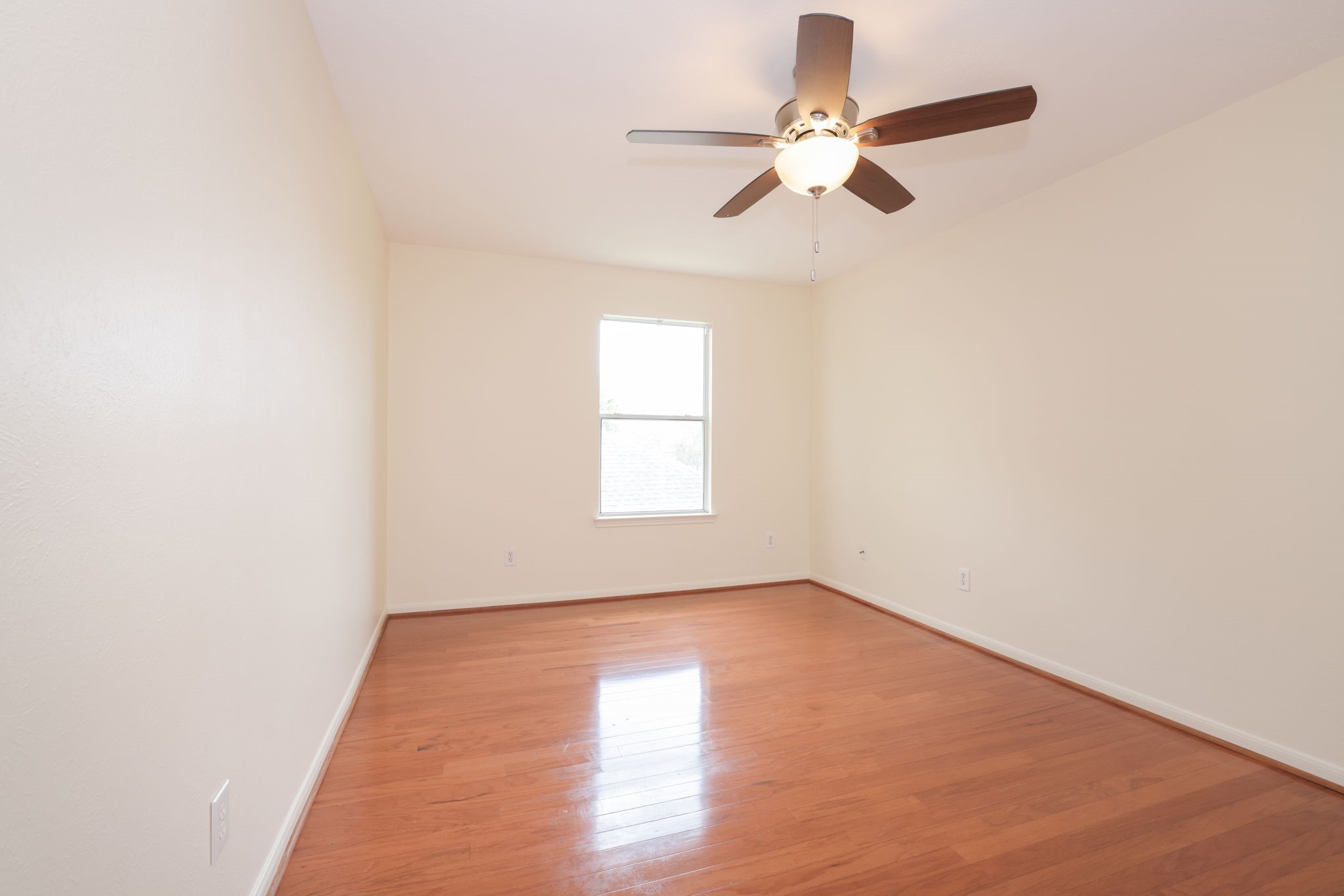 8823 Catawissa Drive Property Photo 29