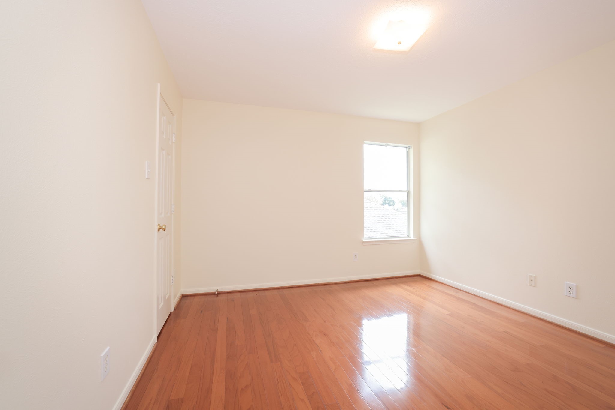 8823 Catawissa Drive Property Photo 30