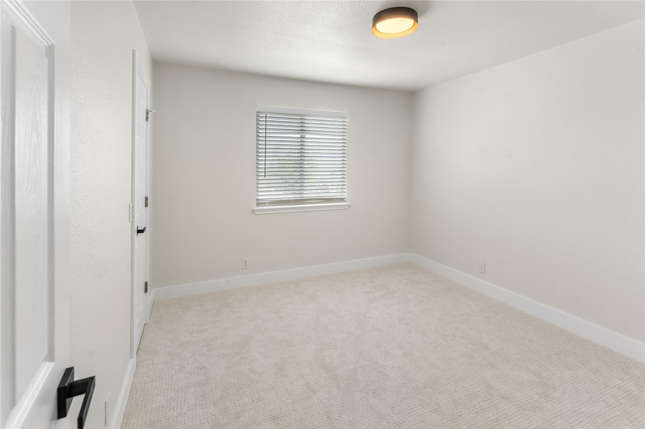 183 Musgrav Property Photo 22