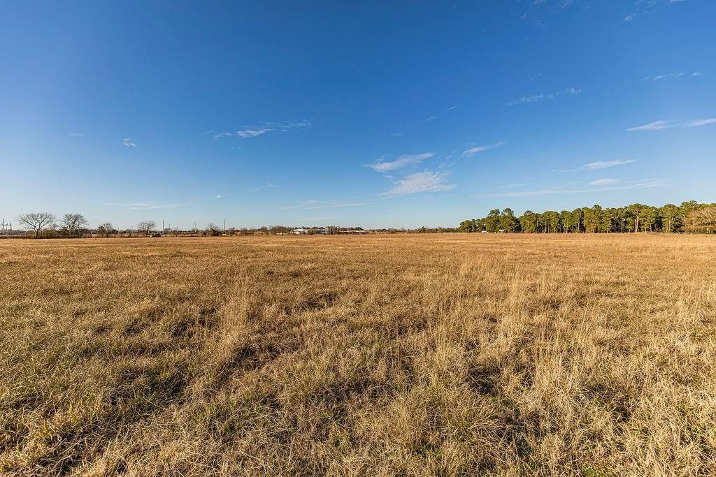0 Miller Road Property Photo 6