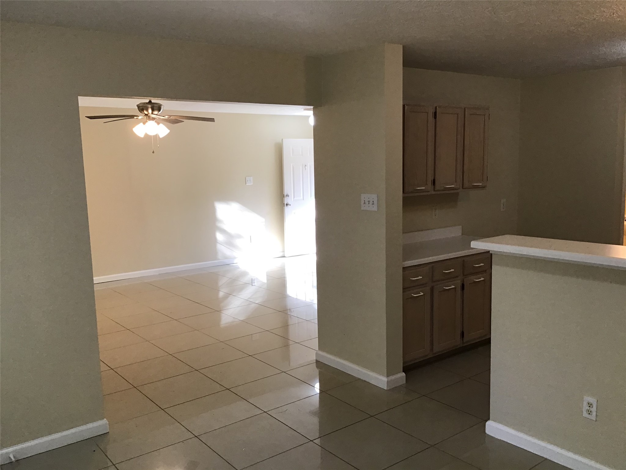 11802 Sunny Stream Drive Property Photo 9