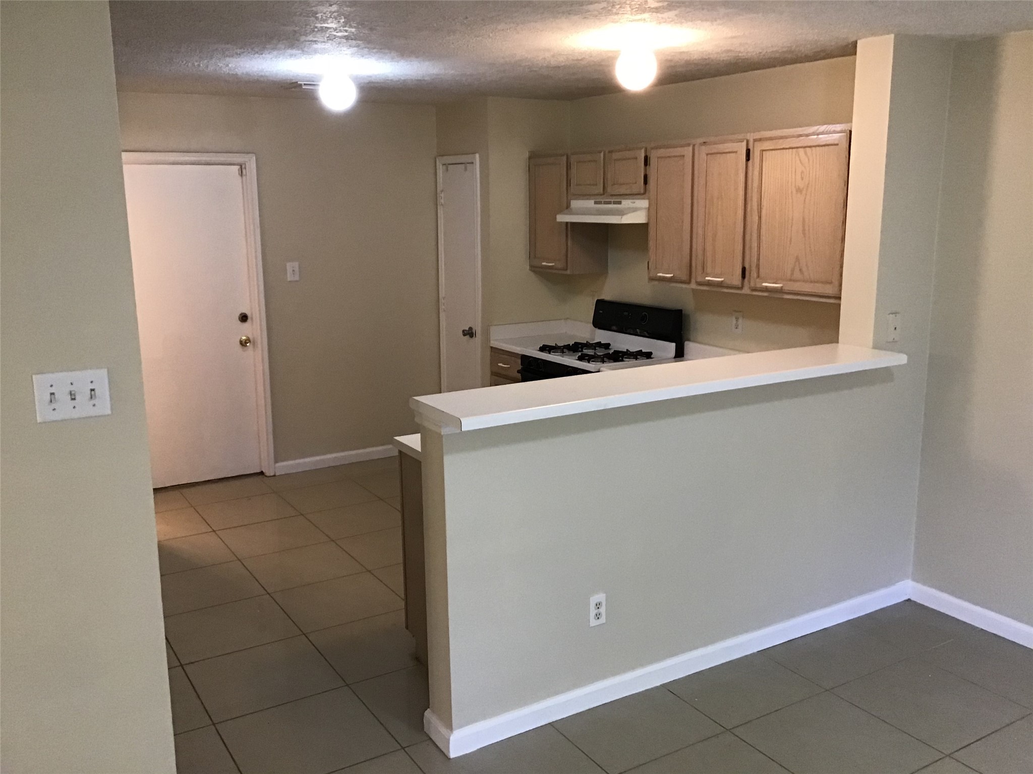 11802 Sunny Stream Drive Property Photo 10