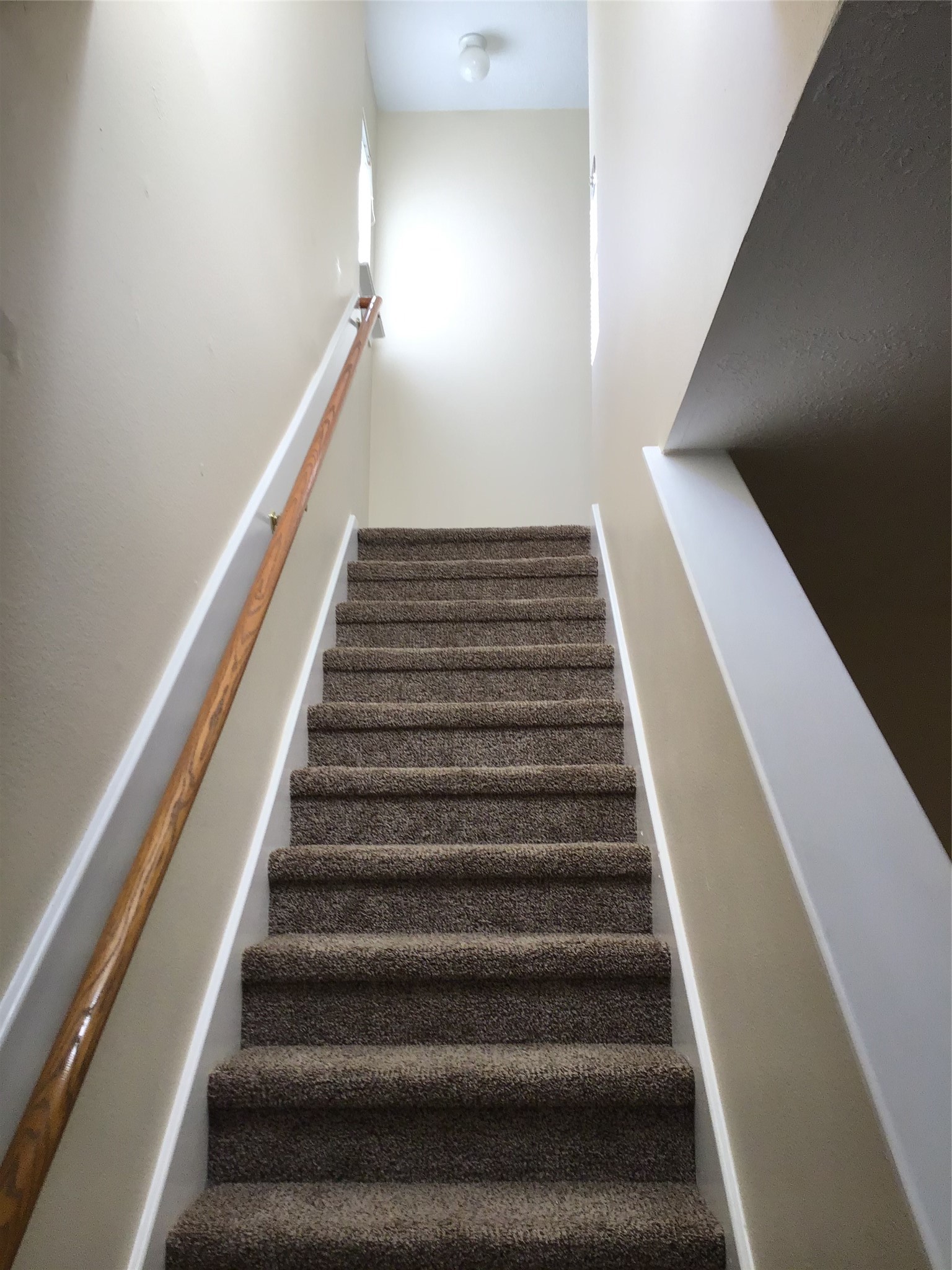 11802 Sunny Stream Drive Property Photo 14
