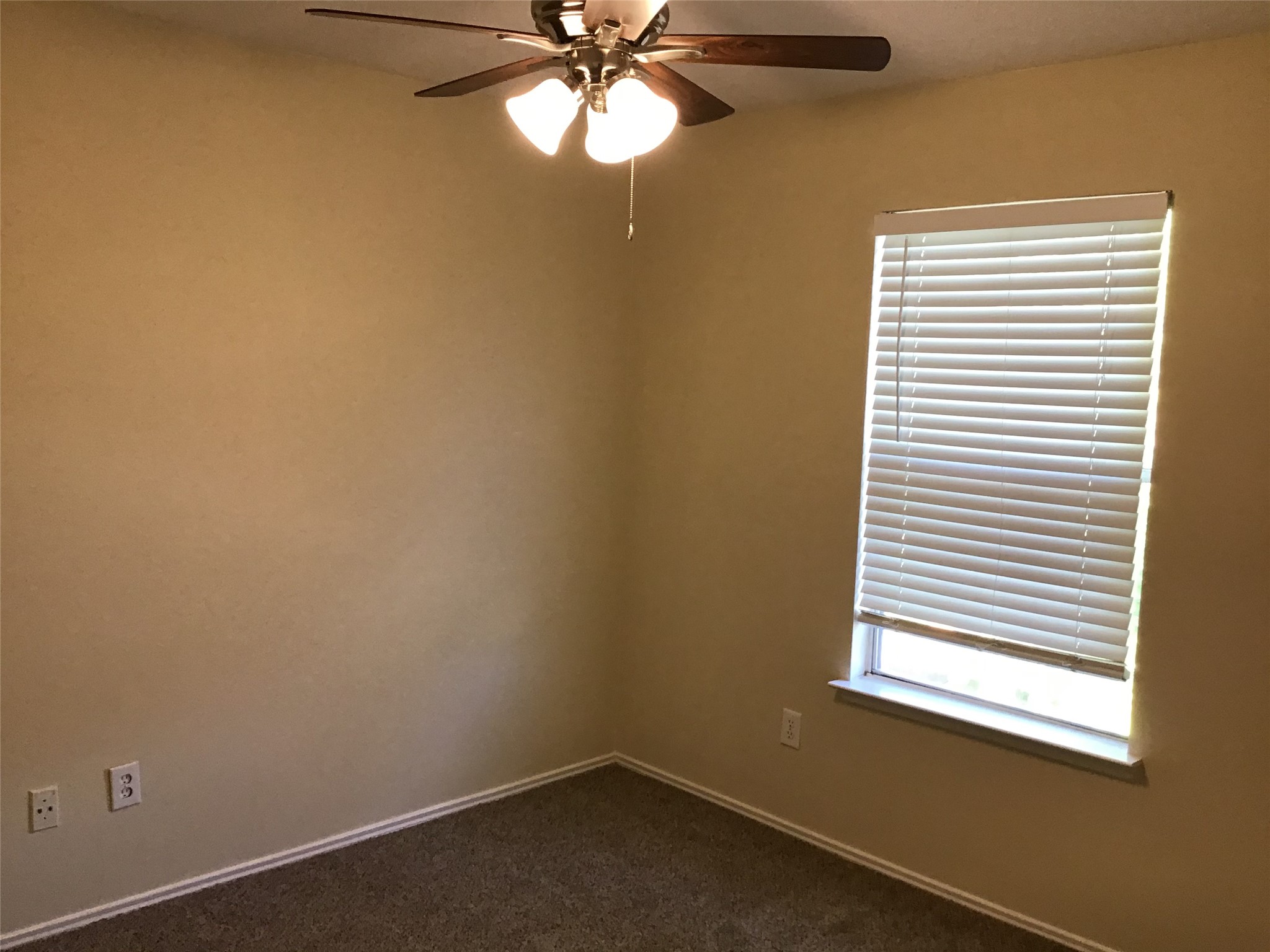 11802 Sunny Stream Drive Property Photo 20