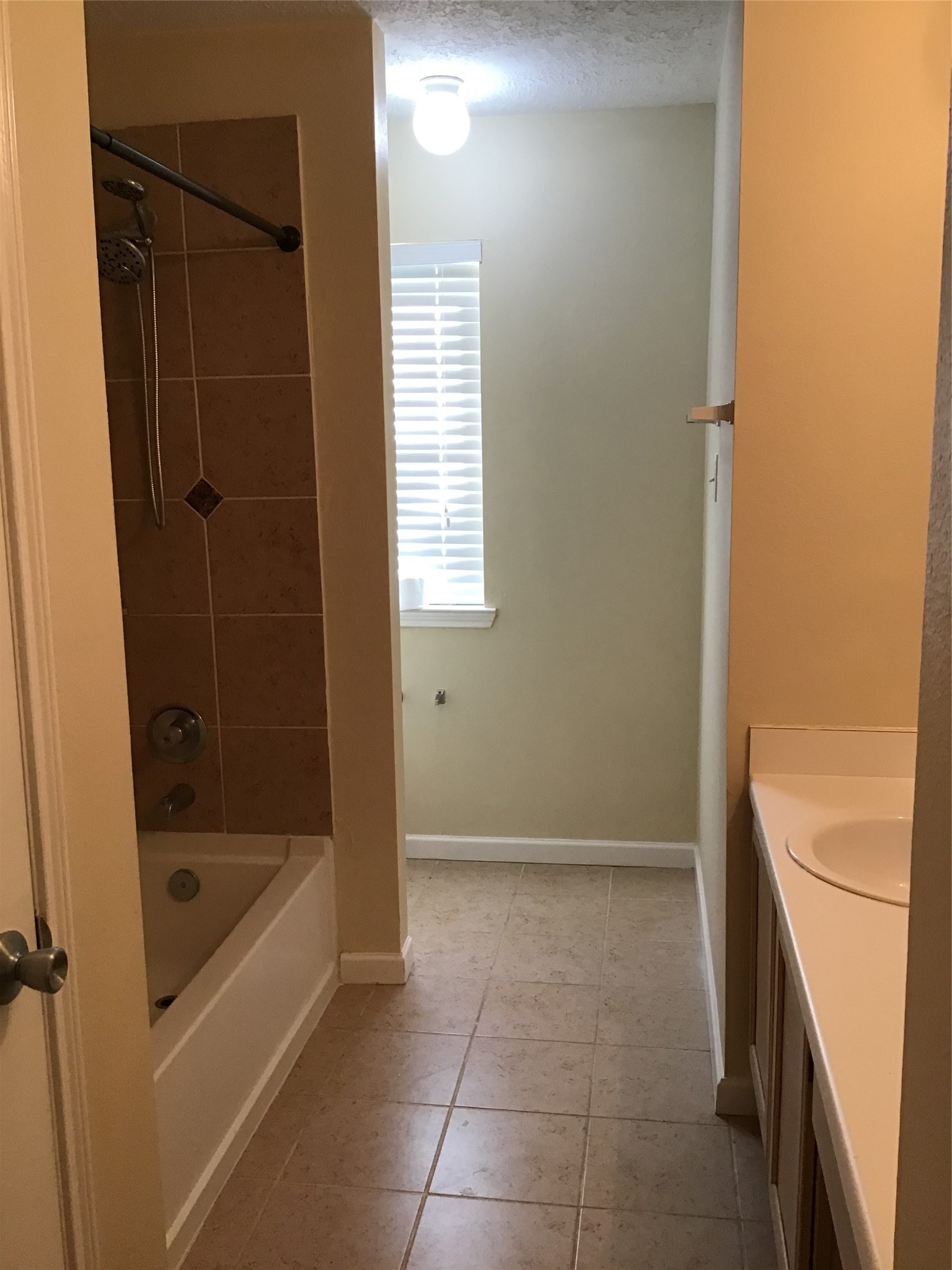 11802 Sunny Stream Drive Property Photo 28