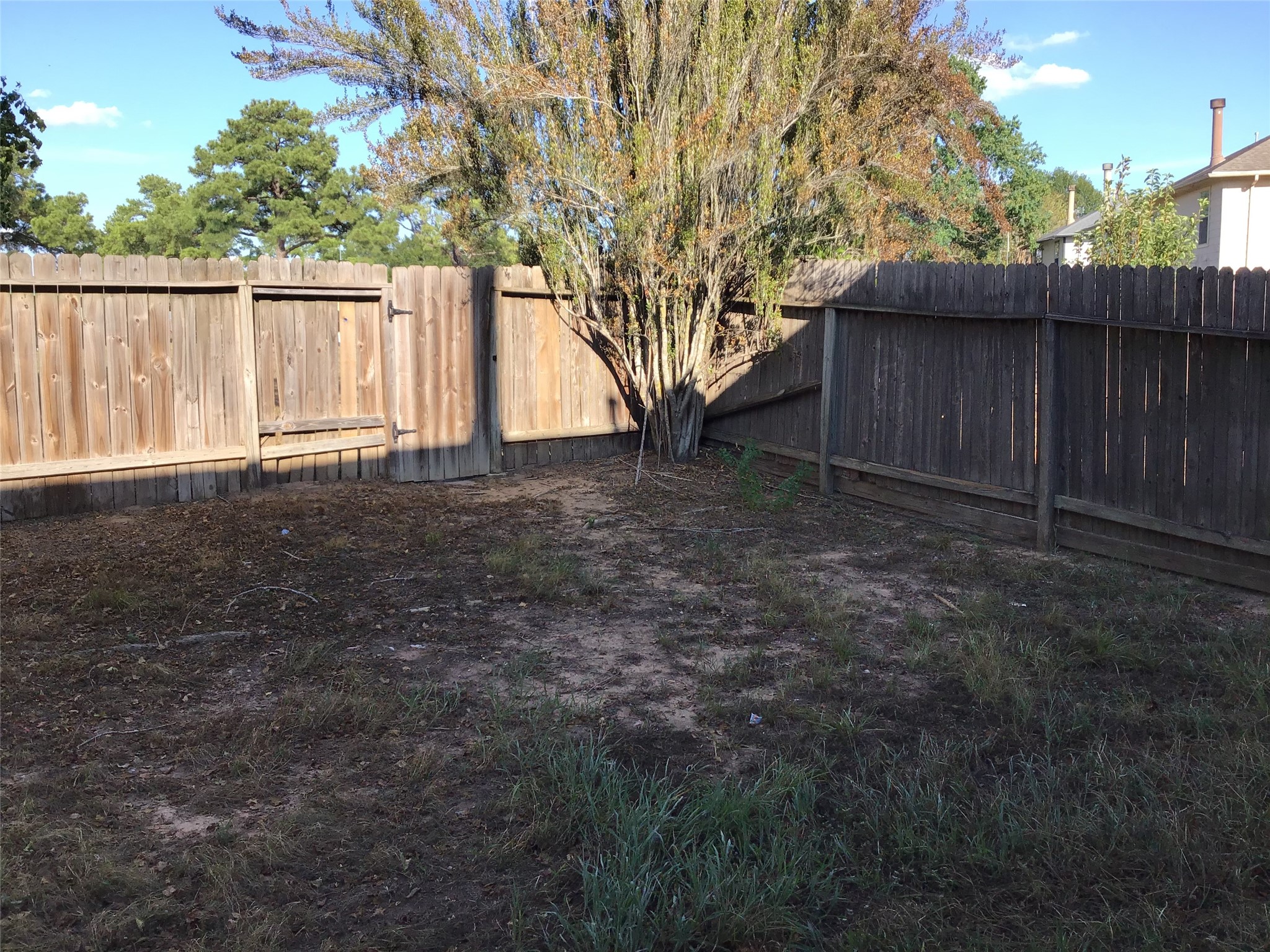 11802 Sunny Stream Drive Property Photo 30