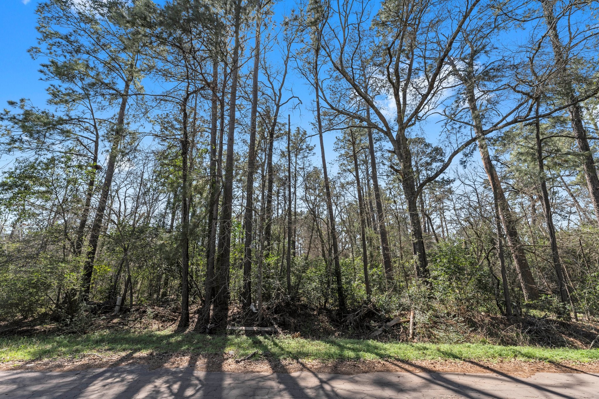 0 Hunters Trail Property Photo 2