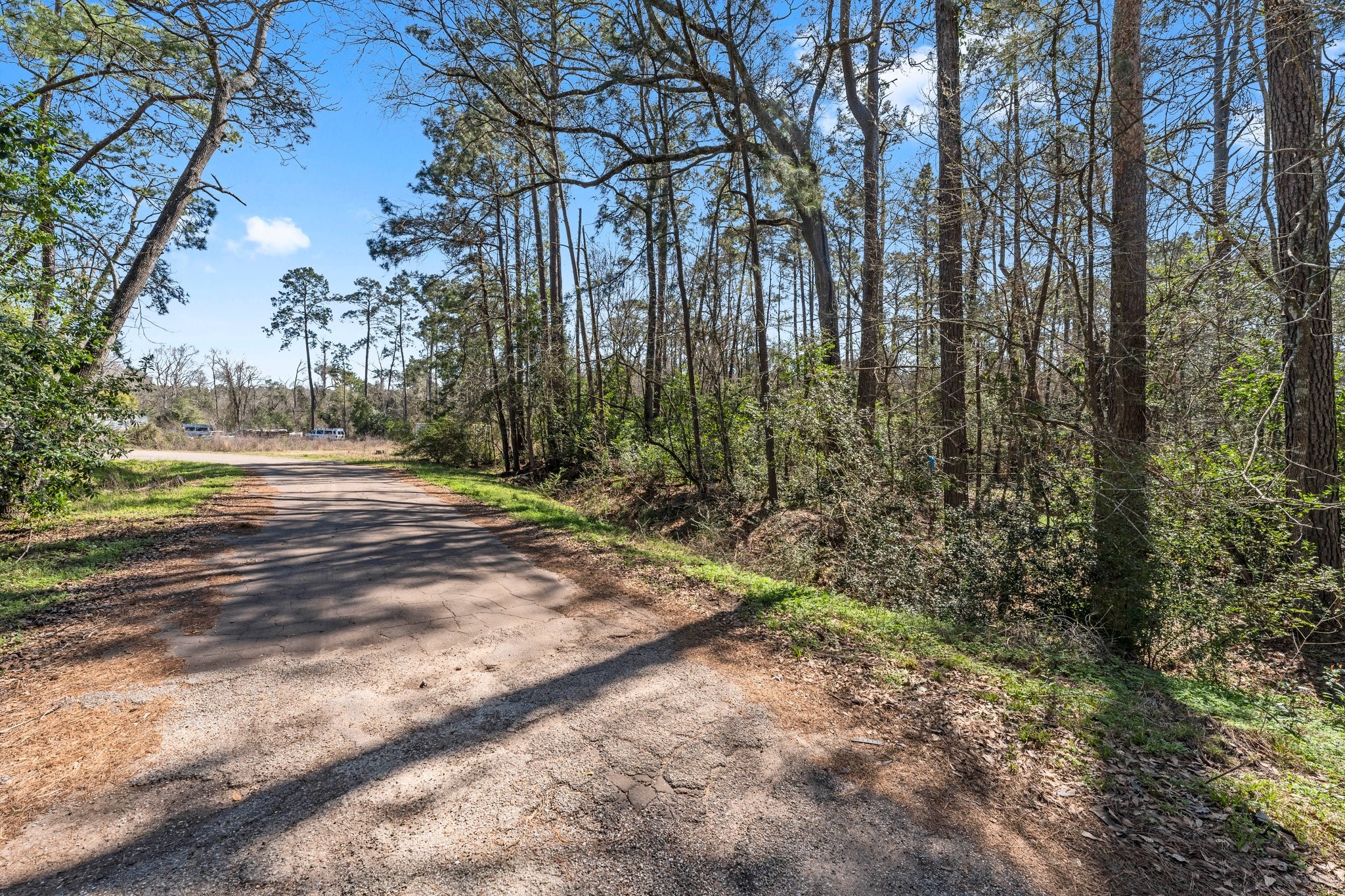 0 Hunters Trail Property Photo 4