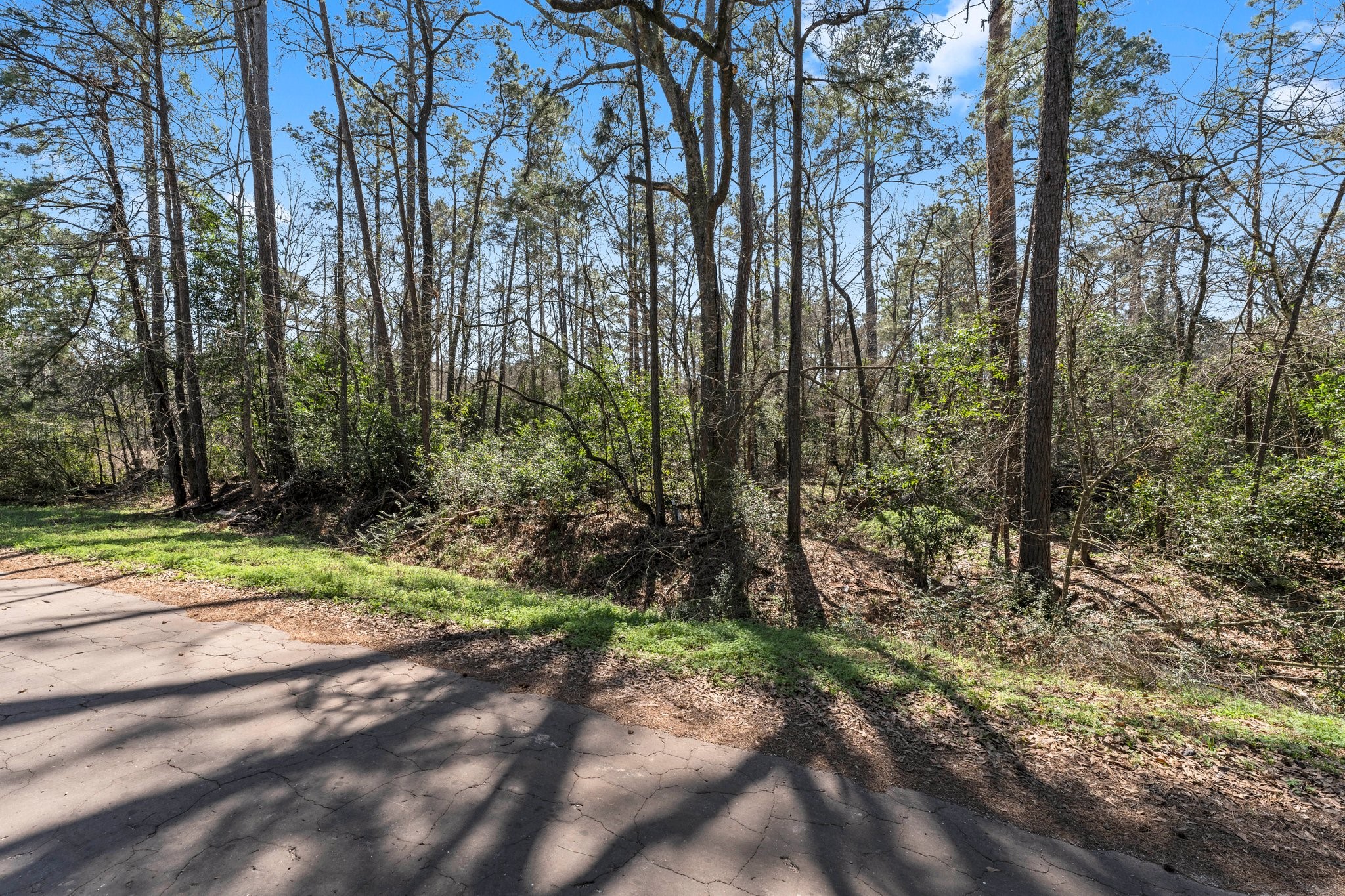 0 Hunters Trail Property Photo 5