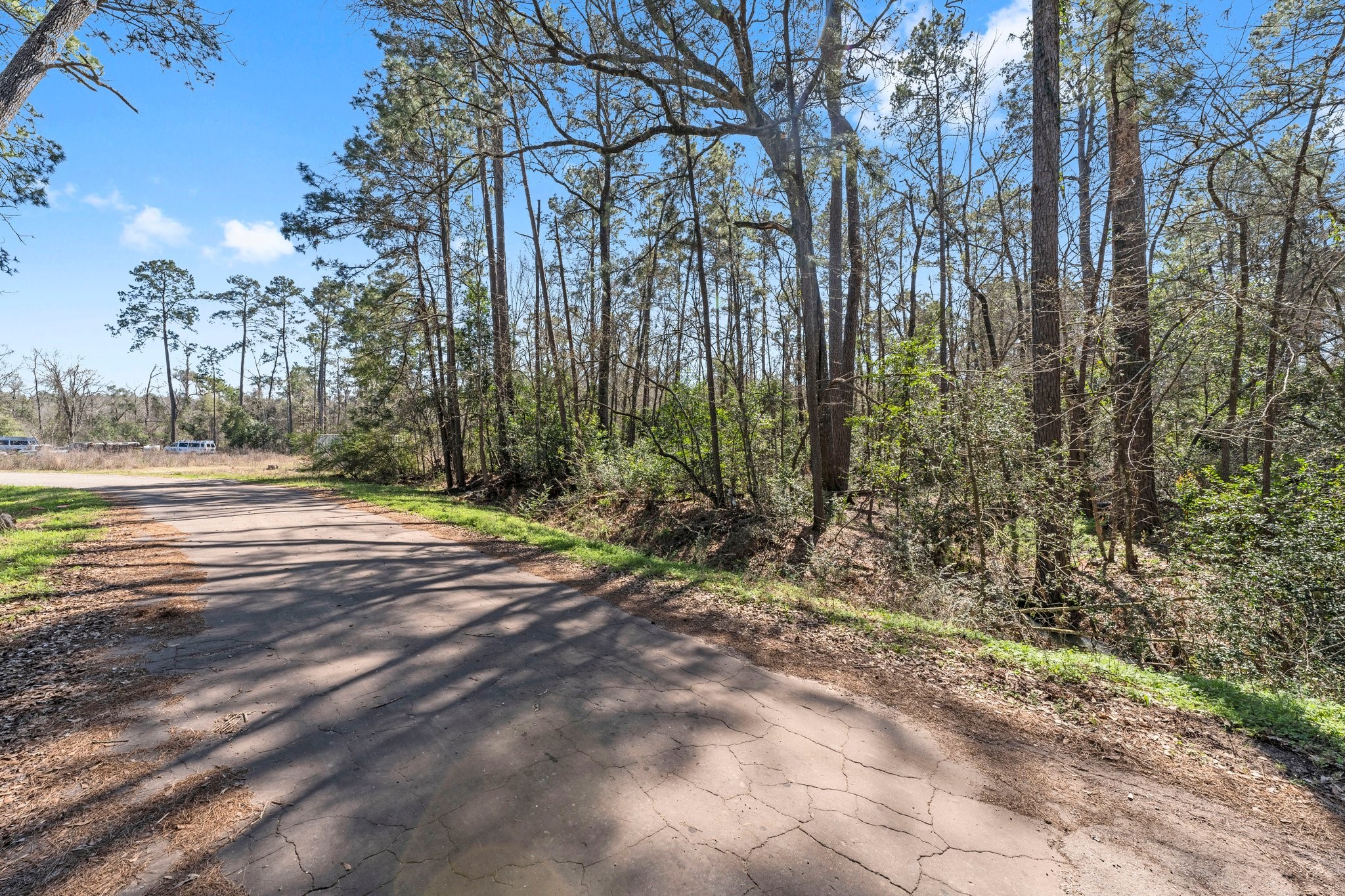 0 Hunters Trail Property Photo 6