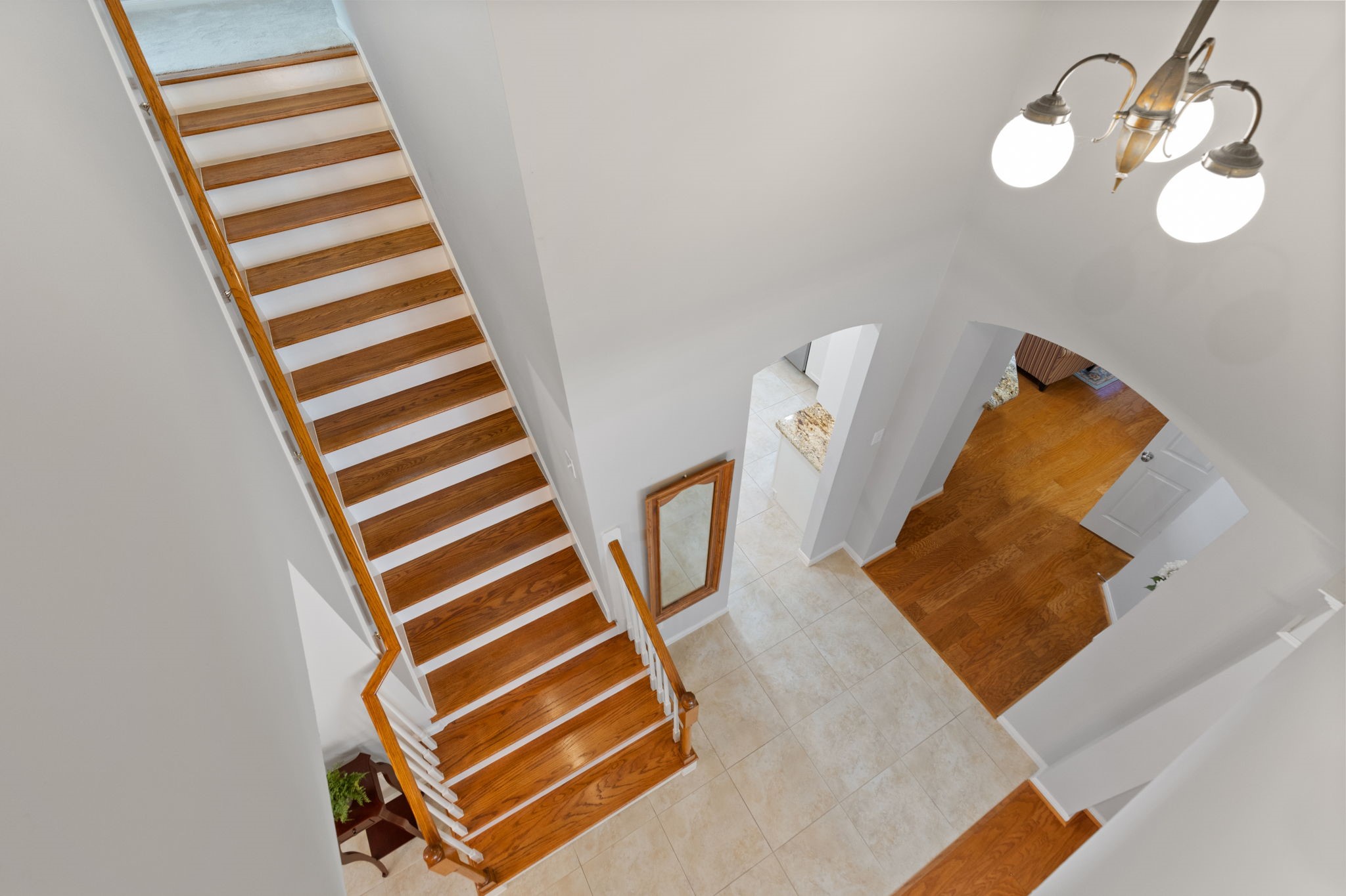 18 Courtland Green Street Property Photo 37