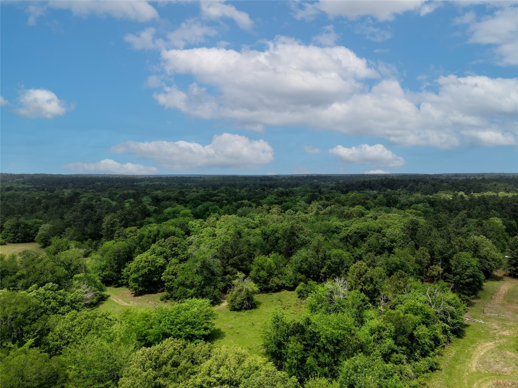 Tbd Fm 1791 Road Property Photo 2