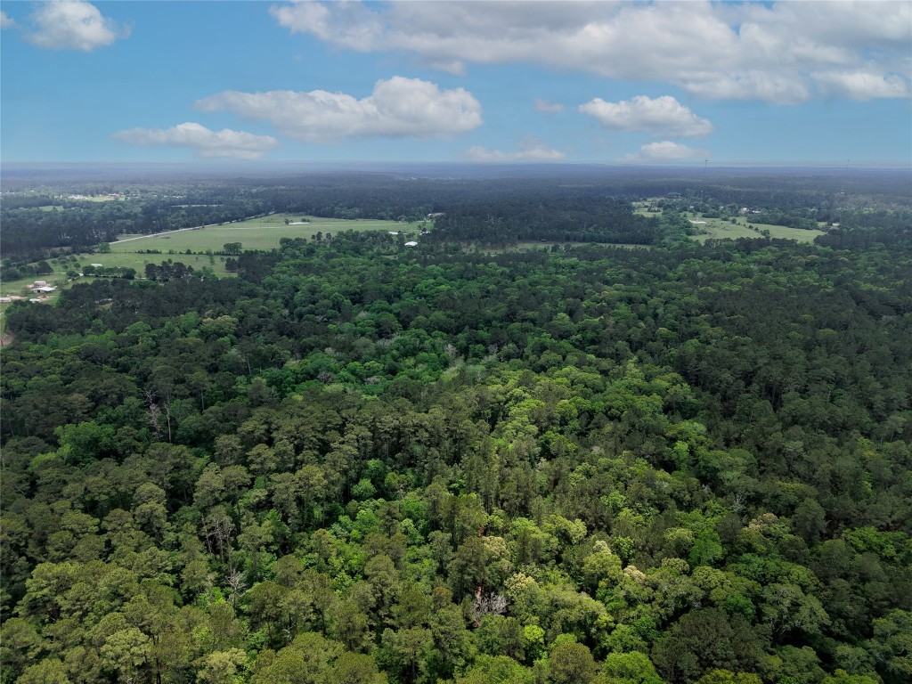 Tbd Fm 1791 Road Property Photo 3