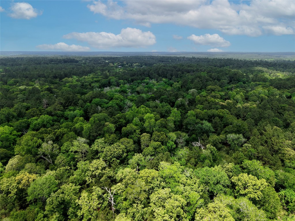 Tbd Fm 1791 Road Property Photo 4