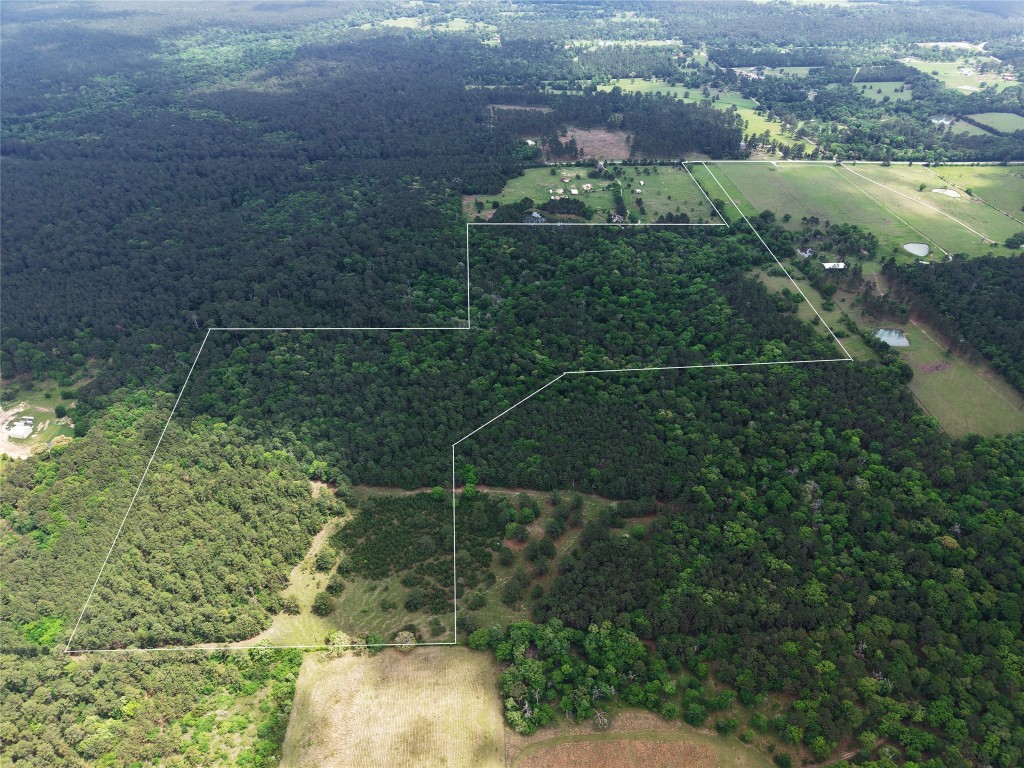 Tbd Fm 1791 Road Property Photo 6