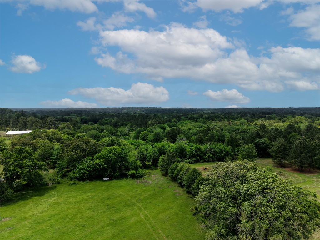 Tbd Fm 1791 Road Property Photo 7
