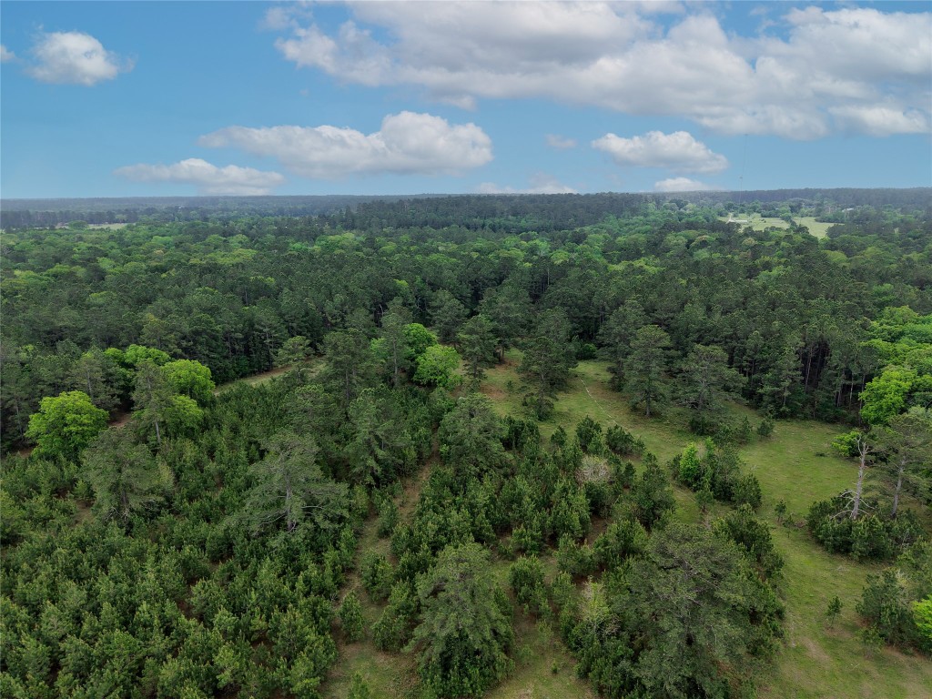 Tbd Fm 1791 Road Property Photo 8