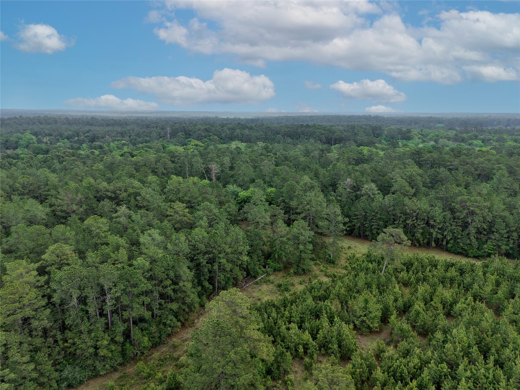 Tbd Fm 1791 Road Property Photo 9