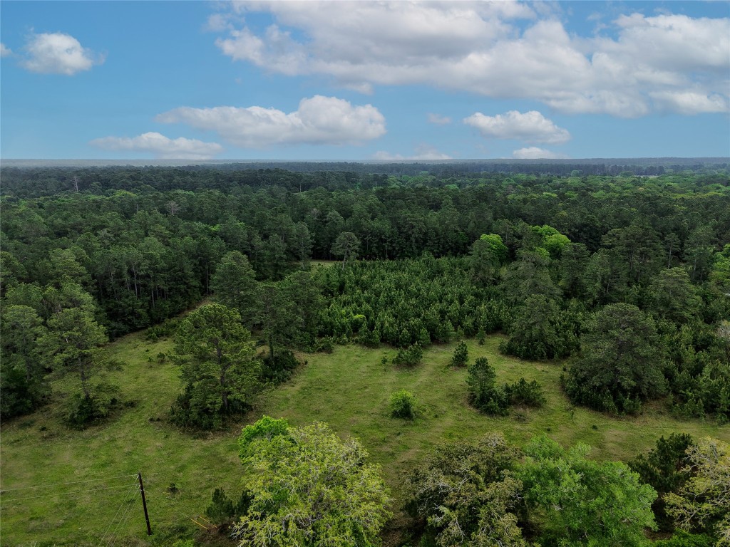 Tbd Fm 1791 Road Property Photo 10