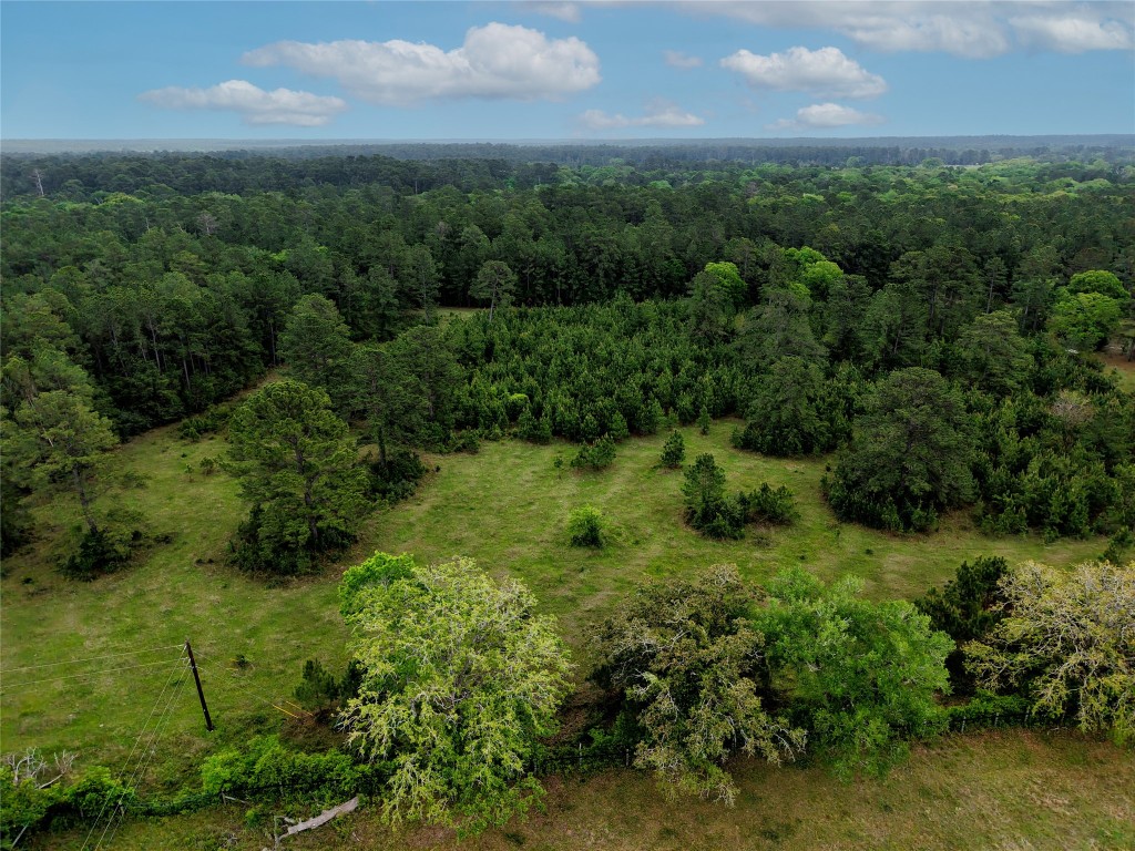 Tbd Fm 1791 Road Property Photo 11