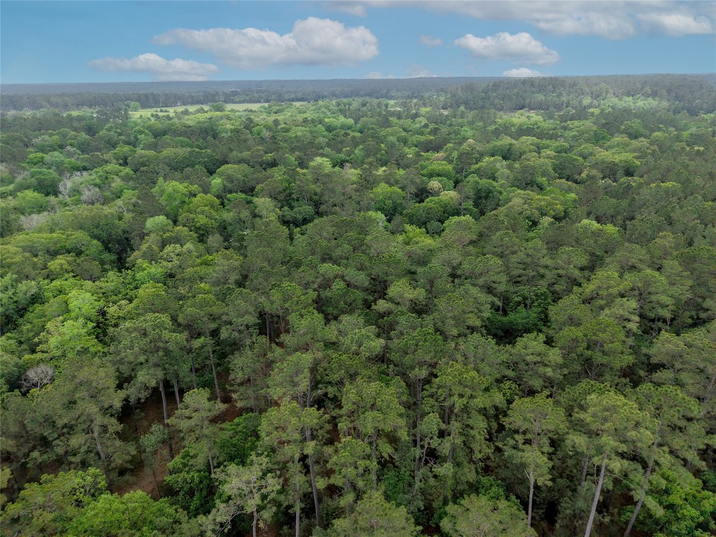 Tbd Fm 1791 Road Property Photo 12