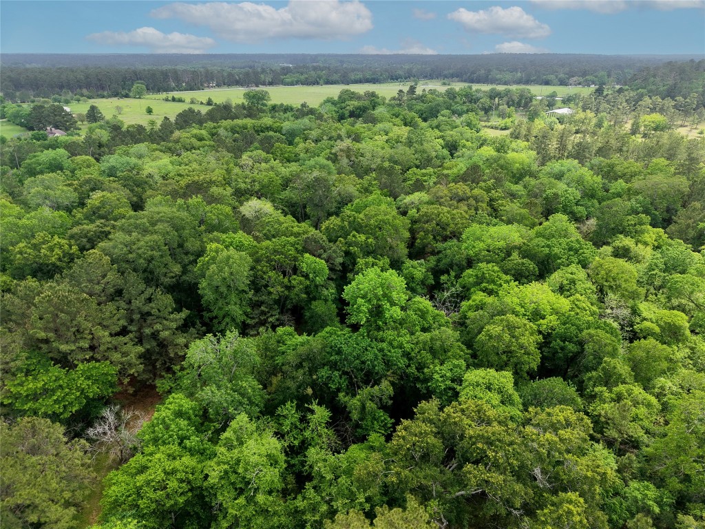 Tbd Fm 1791 Road Property Photo 13