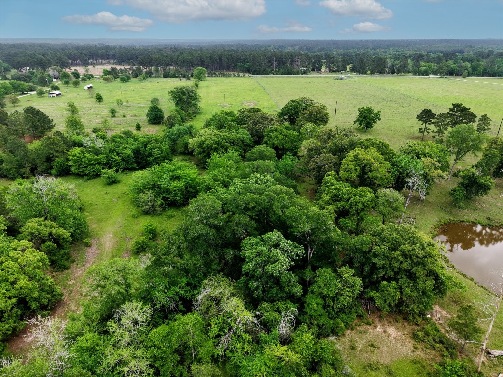 Tbd Fm 1791 Road Property Photo 14