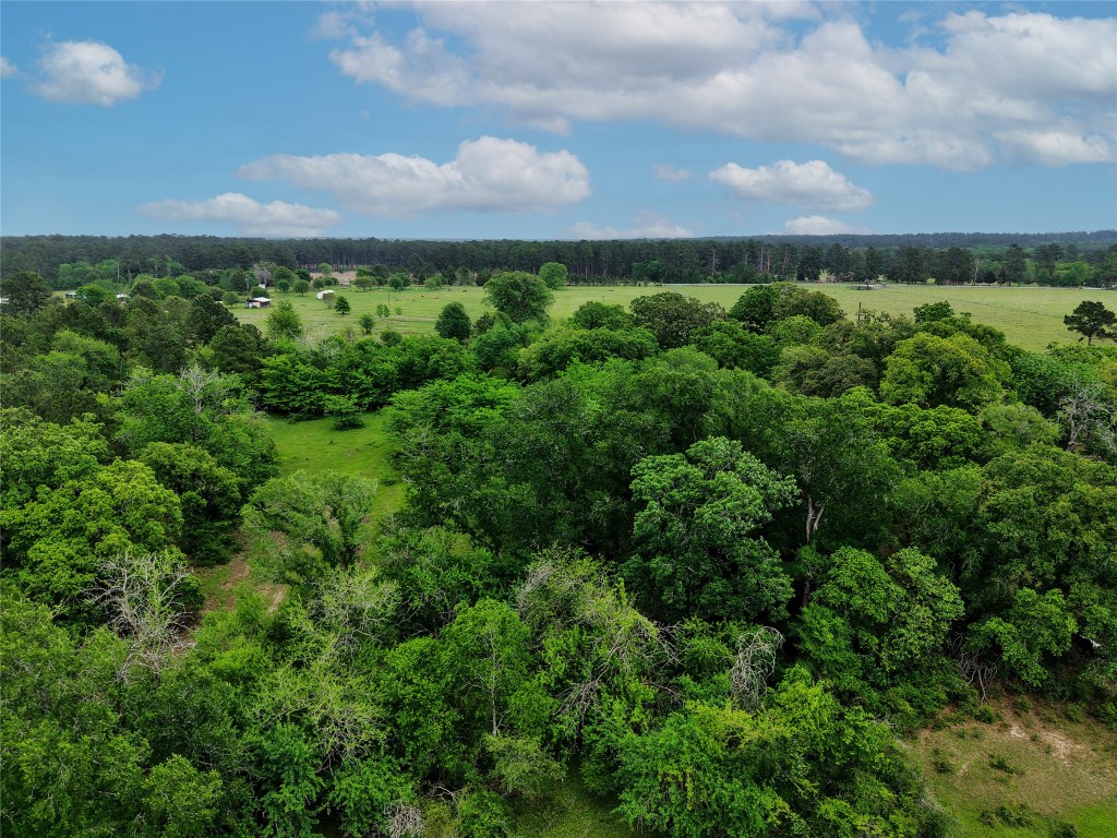 Tbd Fm 1791 Road Property Photo 15