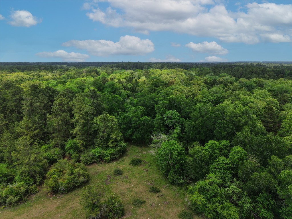 Tbd Fm 1791 Road Property Photo 16