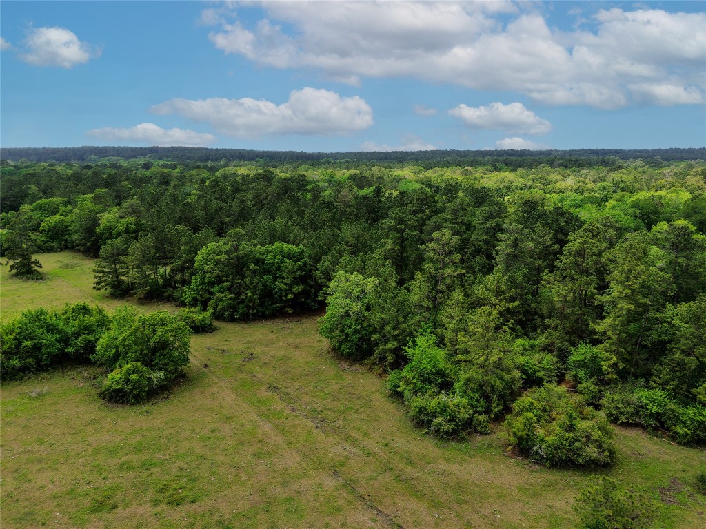 Tbd Fm 1791 Road Property Photo 17