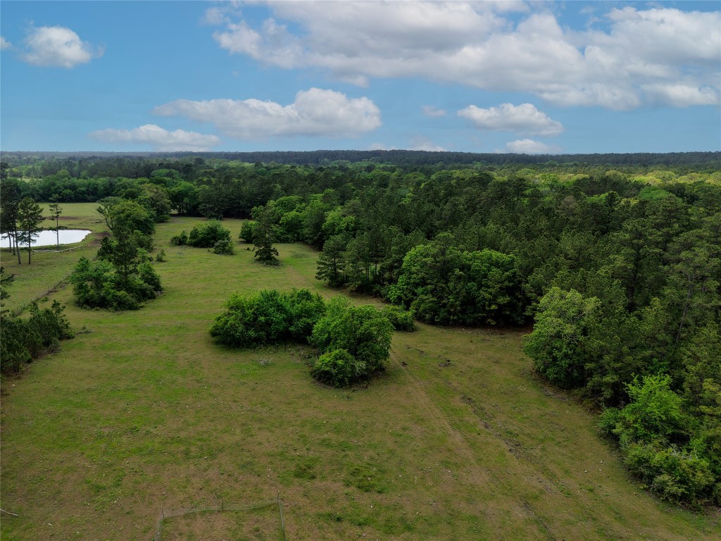 Tbd Fm 1791 Road Property Photo 18