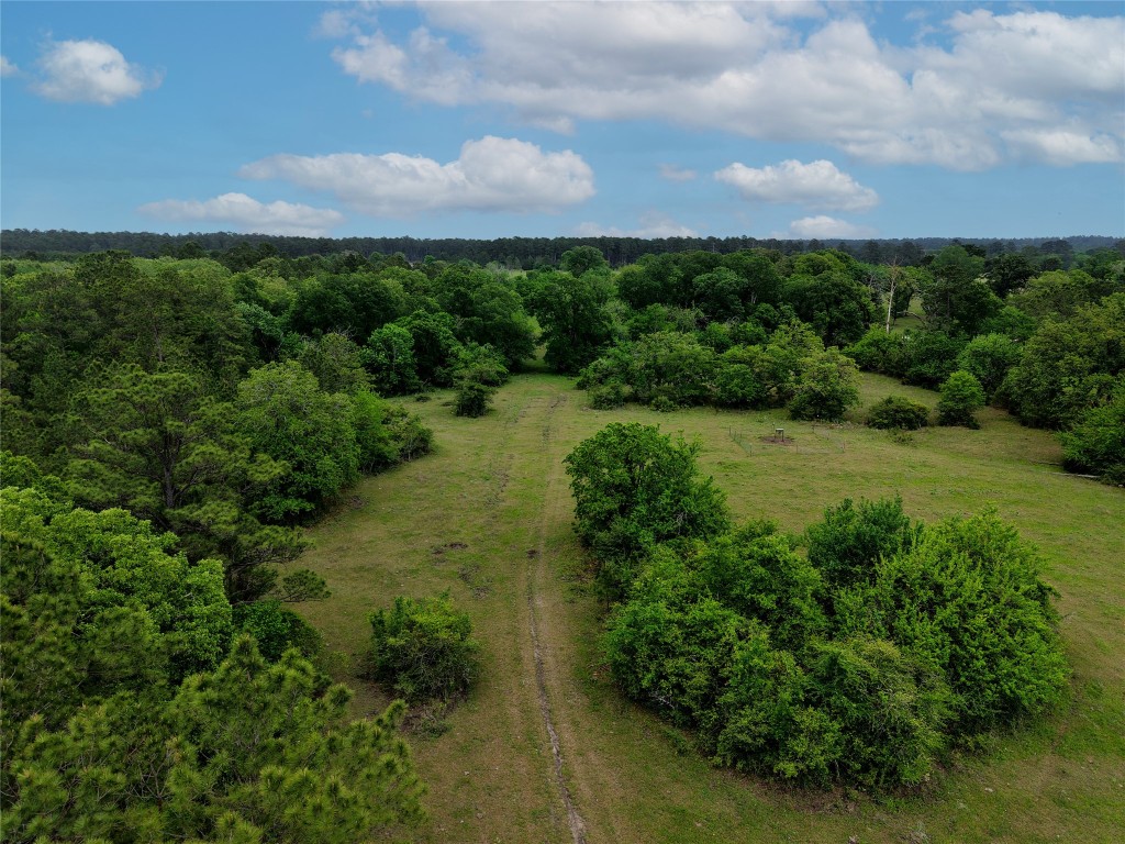 Tbd Fm 1791 Road Property Photo 19