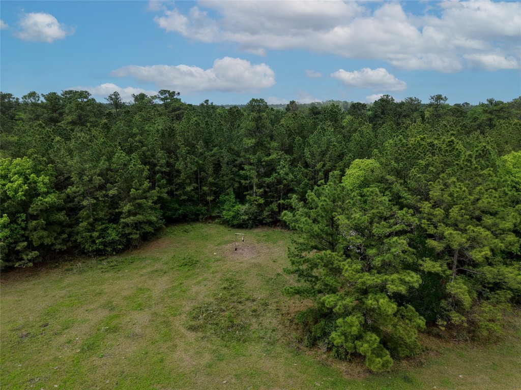 Tbd Fm 1791 Road Property Photo 20