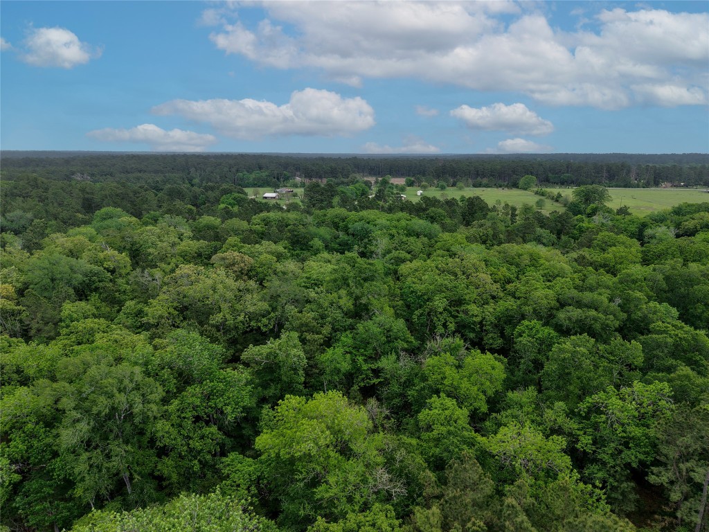 Tbd Fm 1791 Road Property Photo 21