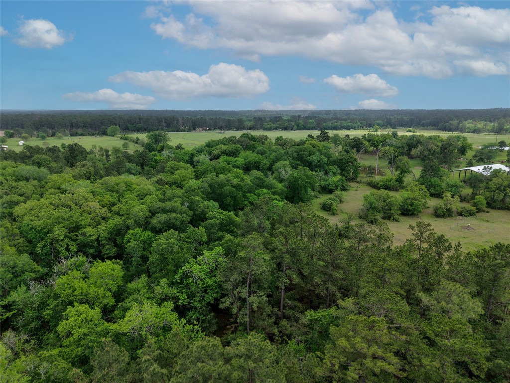 Tbd Fm 1791 Road Property Photo 22