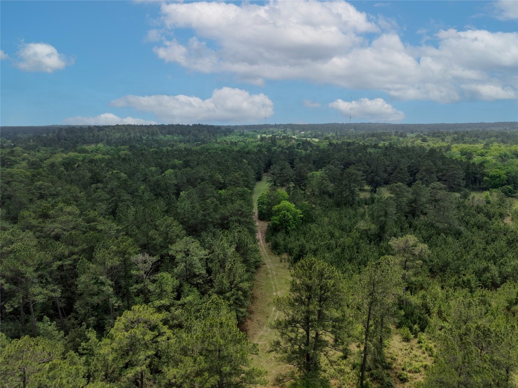 Tbd Fm 1791 Road Property Photo 23
