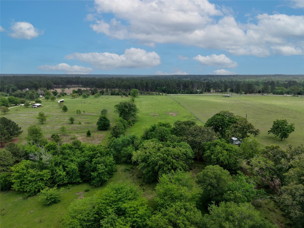 Tbd Fm 1791 Road Property Photo 24