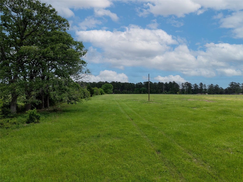 Tbd Fm 1791 Road Property Photo 25