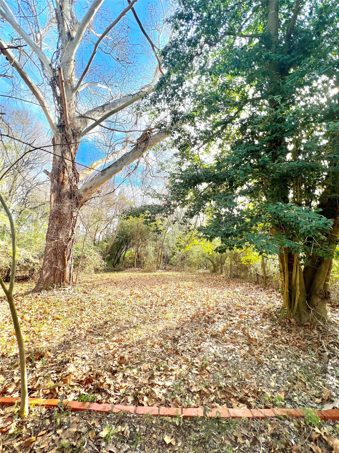 1604 S 12th Street Property Photo 4