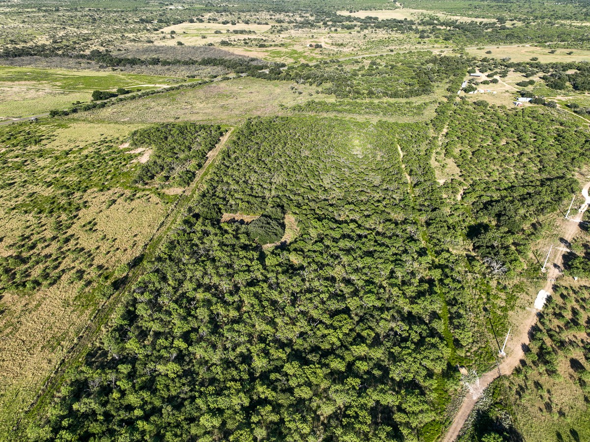 T-1 State Highway 29 Property Photo 5