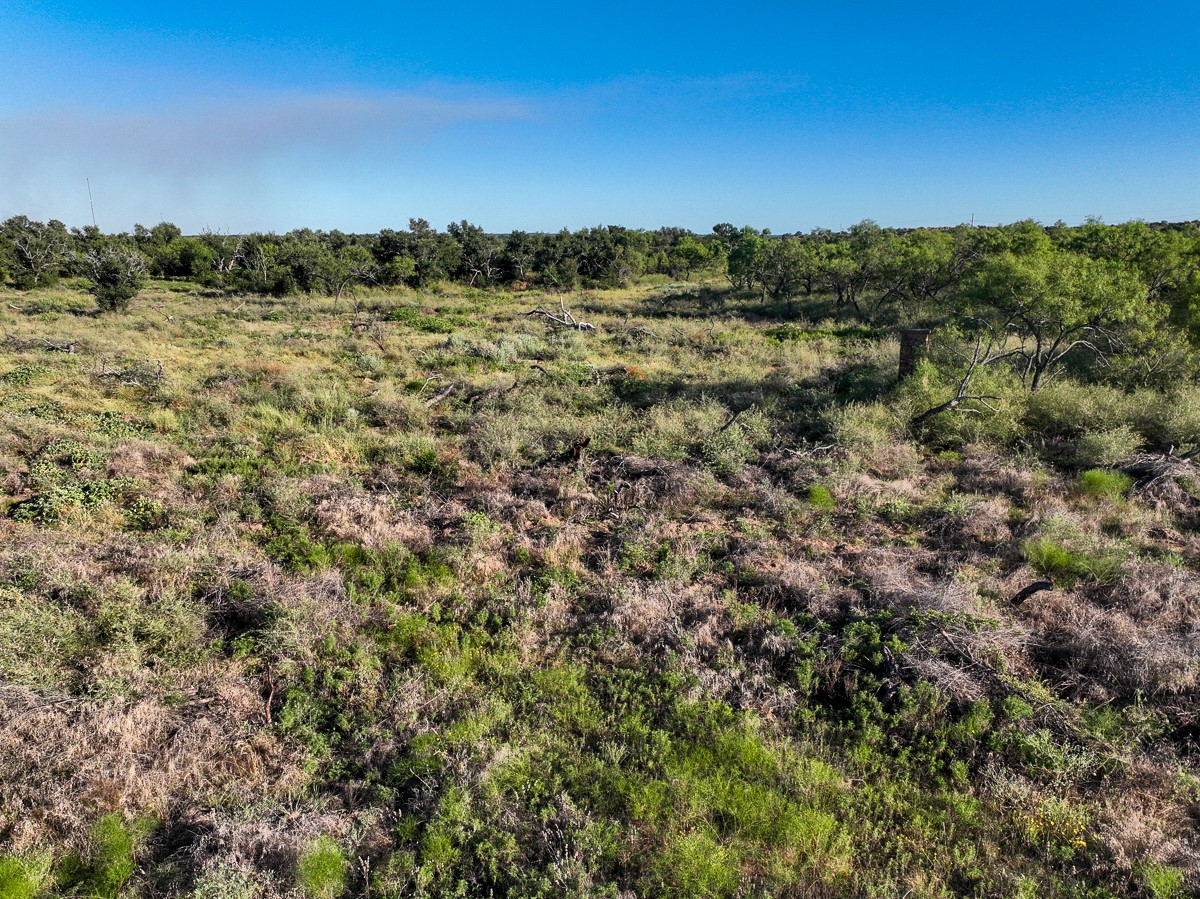 T-1 State Highway 29 Property Photo 11