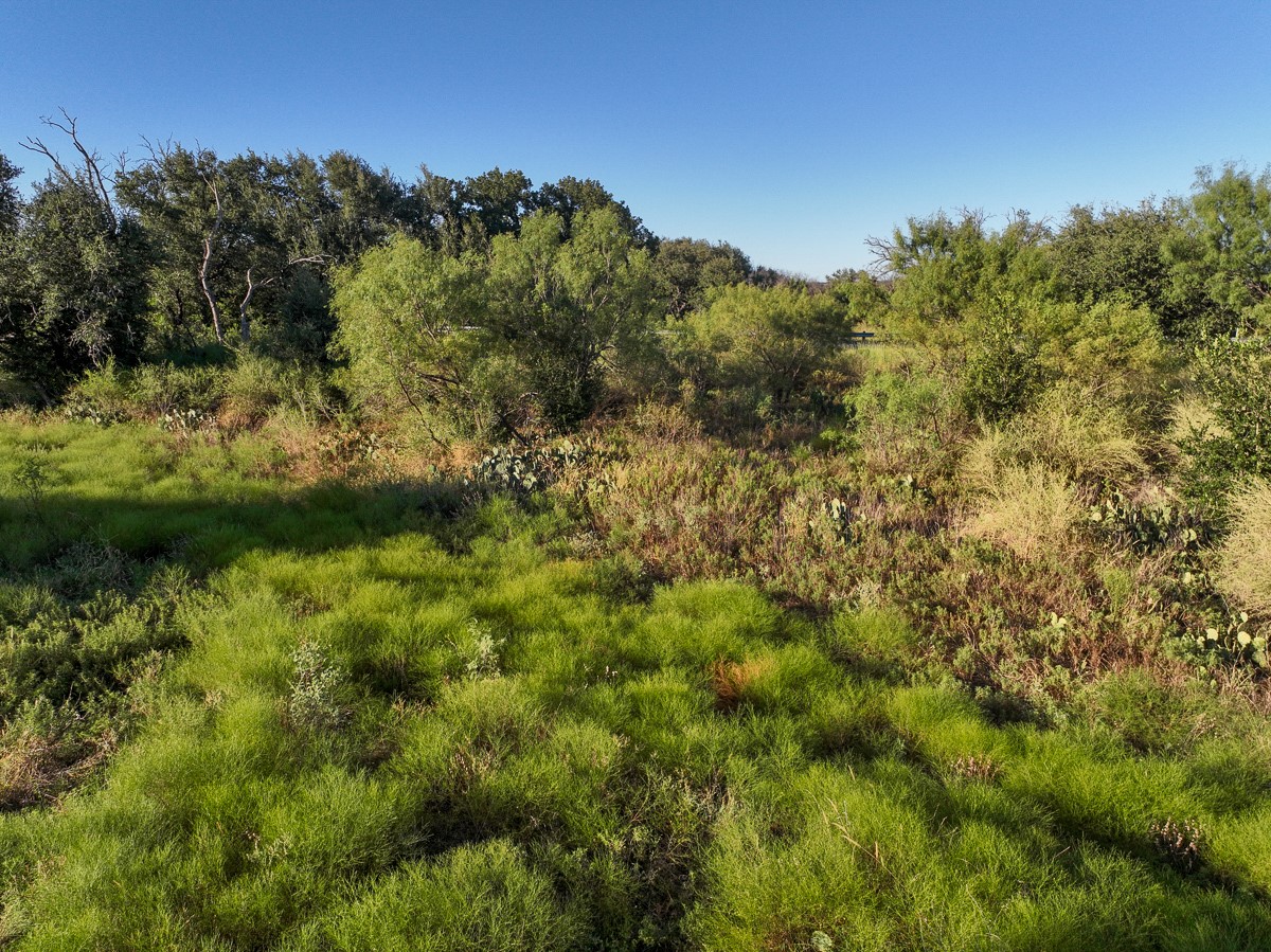T-1 State Highway 29 Property Photo 38