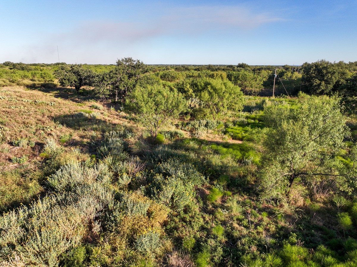 T-1 State Highway 29 Property Photo 41