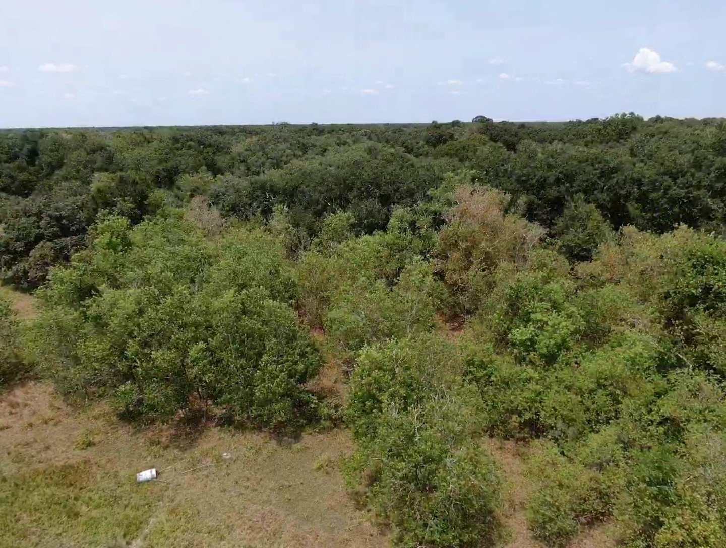 0 Brazos River Road Property Photo 1